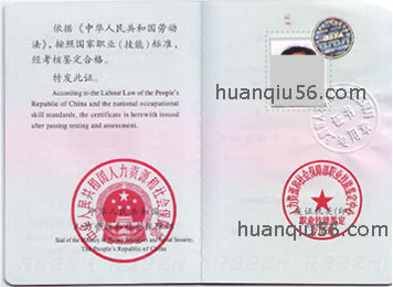 �߼�����ʦ֤��